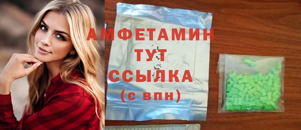 мдпв Вяземский