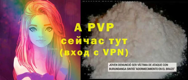 мдпв Вяземский