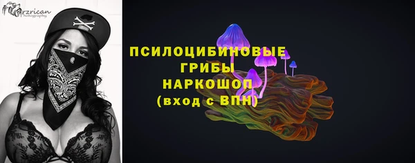 мдпв Вяземский