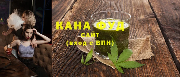 мдпв Вяземский