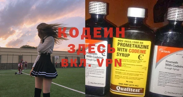 мдпв Вяземский