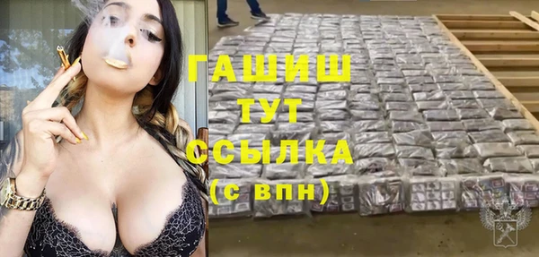 твердый Горняк