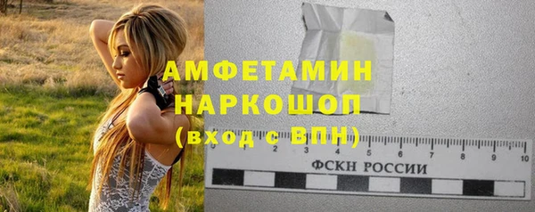 мдпв Вяземский