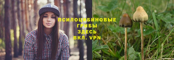 дмт Вязники