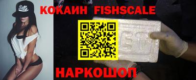 гашик Моздок