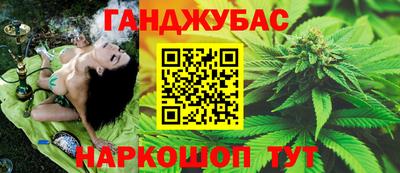 гашик Моздок