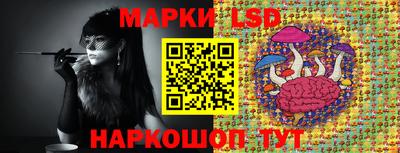 гашик Моздок