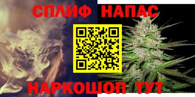 соль ск Можга