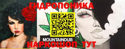 гашик Моздок
