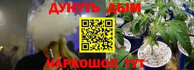 гашик Моздок