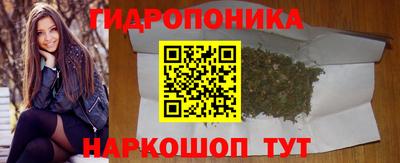 соль ск Можга