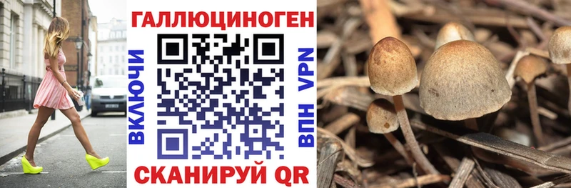 Галлюциногенные грибы Cubensis  даркнет сайт  Ноябрьск 
