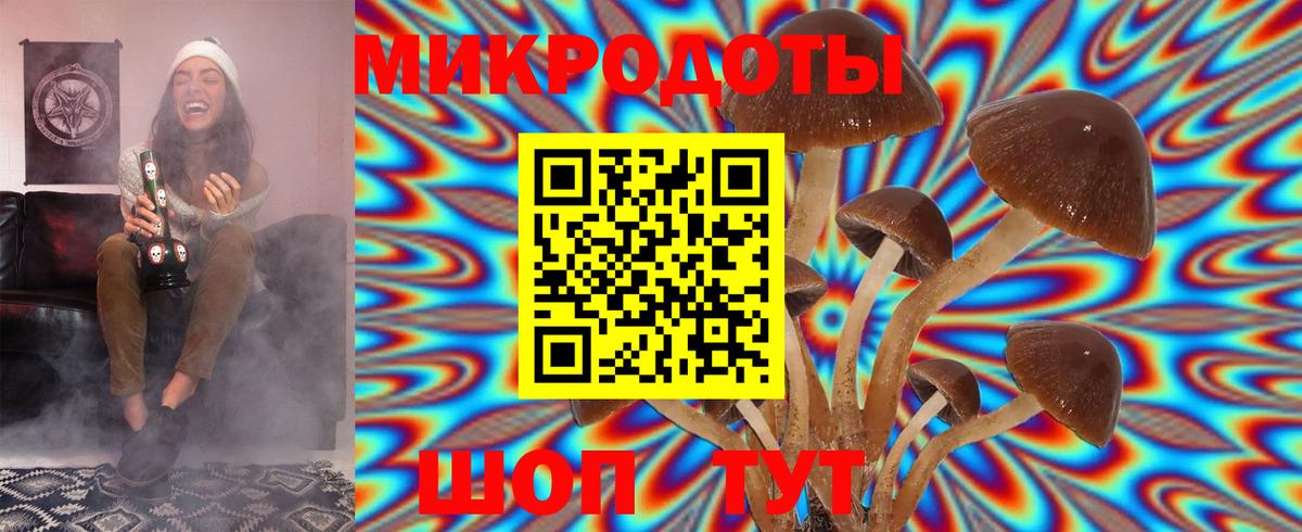 Галлюциногенные грибы Psilocybine cubensis Ноябрьск