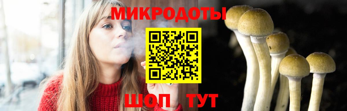 Ноябрьск  Псилоцибиновые грибы Psilocybine cubensis  Вход с VPN 